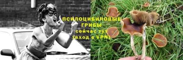 прущая мука Навашино